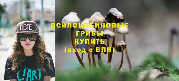 стаф Нея