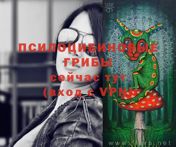 стаф Нея