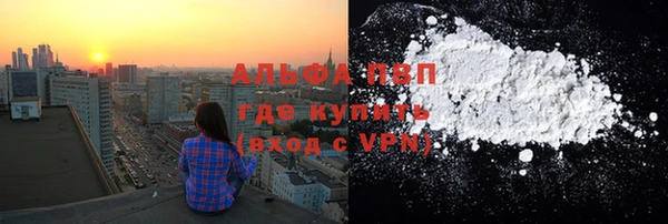 стаф Нея
