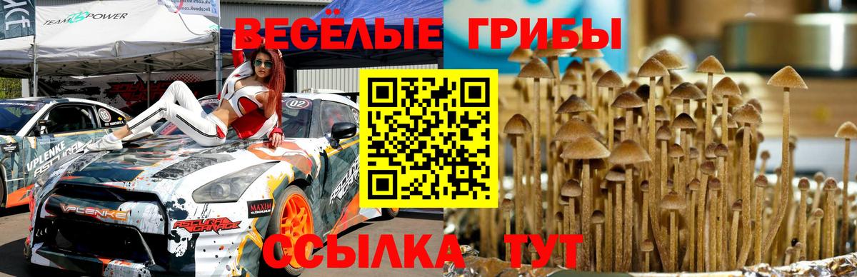 Ртищево  Галлюциногенные грибы мухоморы  Псилоцибиновые грибы прущие грибы  Вход с VPN 
